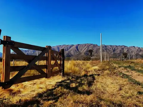 Ruta 1 Km23 - Cortaderas