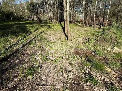 Terreno en Venta 30  mts Frente