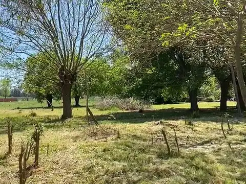 Salta y San Cayetano