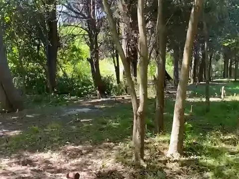 Salta y San Cayetano