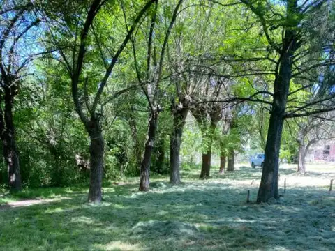 Campo venta - 268x218mts - 1,4 hectareas - La Lonja