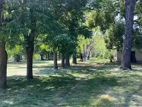 Salta y San Cayetano