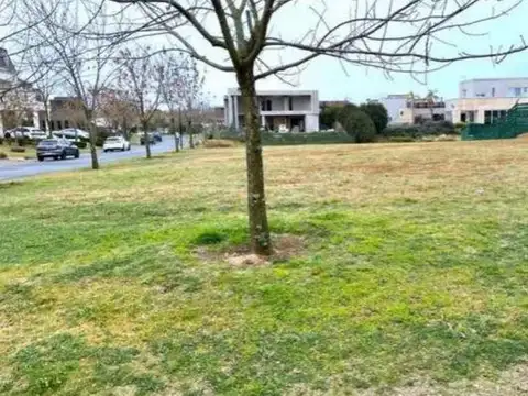 Terreno en Venta en Tigre Centro, USD 600.000