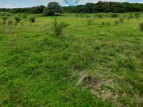 Quinta en Venta 2024 años