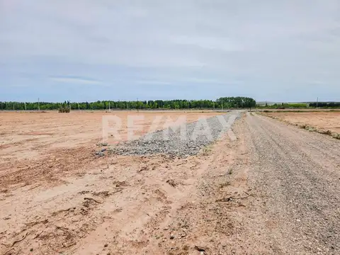 Terreno en Alquiler de 5000,0 m2