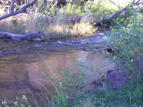21 hectáreas Valle de Ongamira