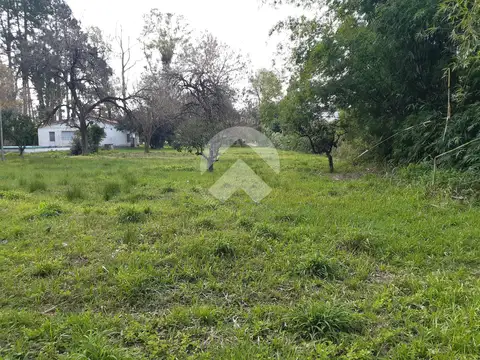 Terreno en Venta 20  mts Frente