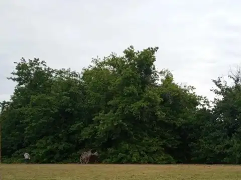 Excelente Lote En Barrio La Ranita