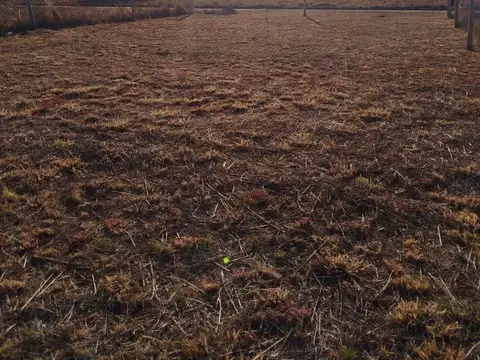 Terreno en Venta de 300,0 m2