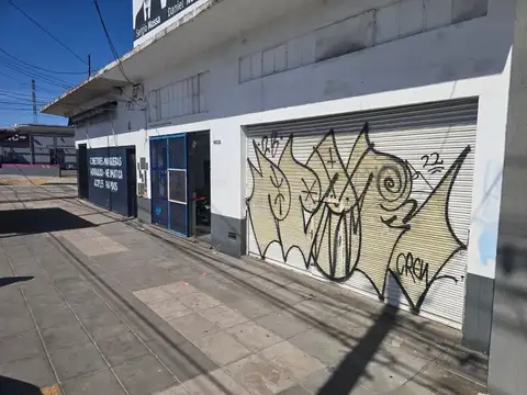 Avenida Brigadier General Juan Manuel de Rosas 6600