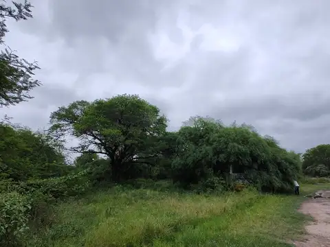 Av Sarmiento y terraplen