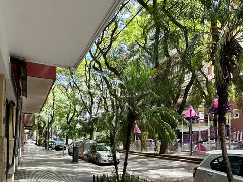 Ideal negocio temporario  