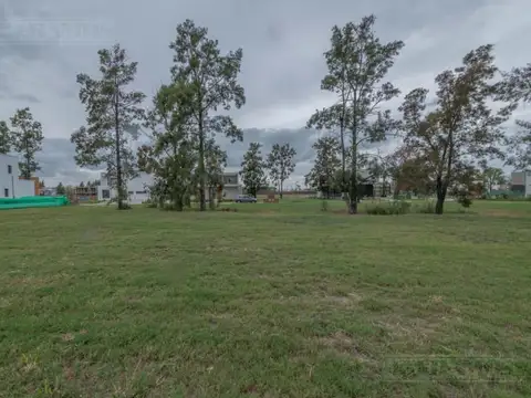 LAGUNA GRANDE, VILLANUEVA - Lote Interno