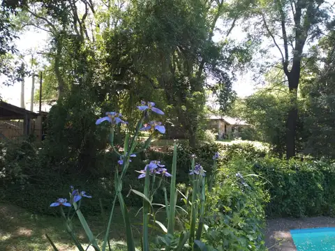 Colonia Vignaud 7300