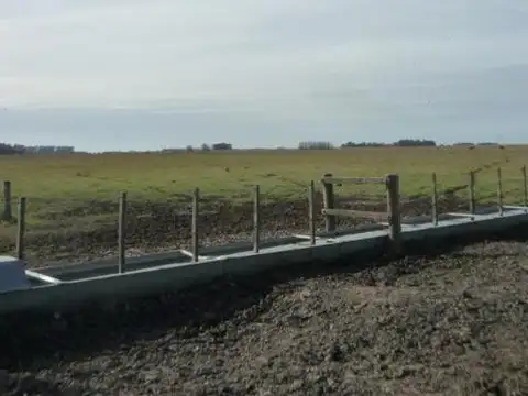 Cañuelas. 189 has de Campo mixto en venta