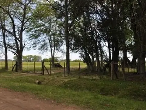 Campo en Venta Mixto