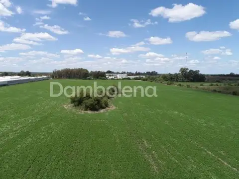 Terreno en Venta en Centro (Zarate), USD 1