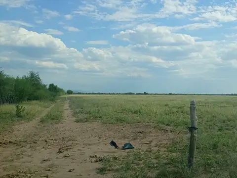 VENTA CAMPO MIXTO SERREZUELA 876 HAS