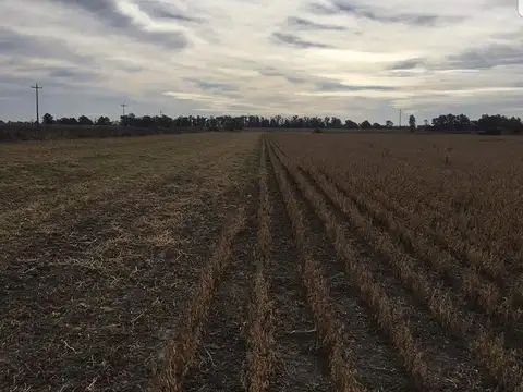 Campo en venta - 143714mts2- Saladillo