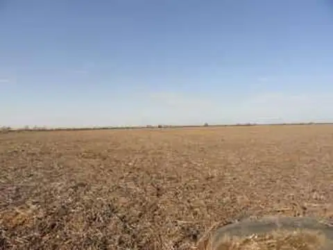 Campo en Venta Agricola