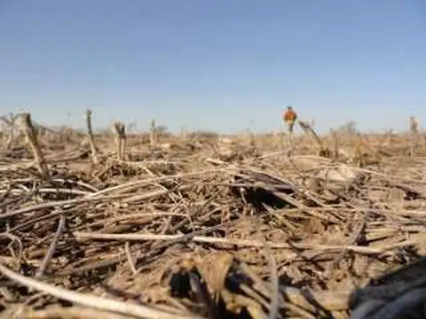 Perdices cerc/ruta acepto $$$$