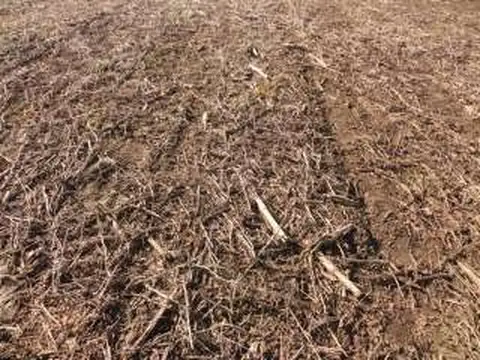 Campo en Venta de 100  ha