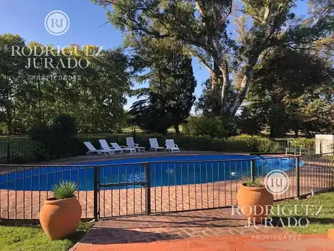 Quinta - La Asuncion