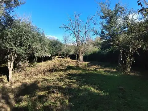 Terreno en Venta de 1200,0 m2