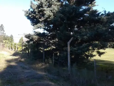 Terreno venta 10 x 28 mts -280 mts 2 -Barrio Cerrado -San Carlos.