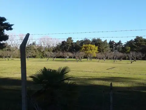 Terreno en Venta en San Carlos, USD 19.000