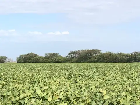 Campo de 7000 Ha en Venta en Bazán La Rioja Reserva de Agua