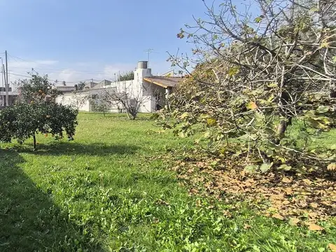 Terreno en Venta 38  mts Fondo