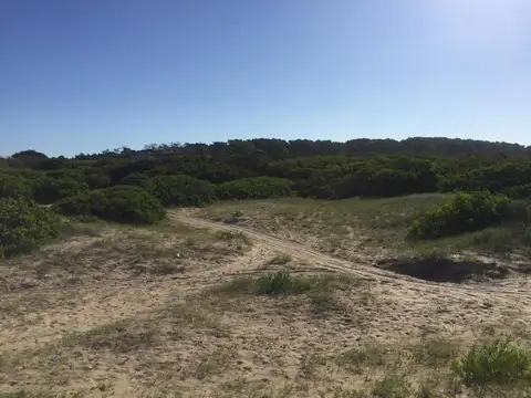 Terreno en Venta de 85006,0 m2