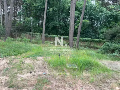 Terreno en Venta en Montoya, USD 300.000