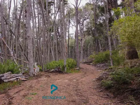 Terreno en Venta de 4514,0 m2