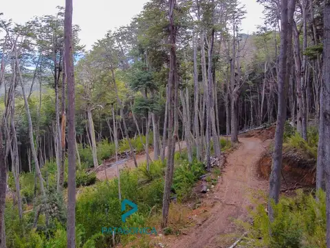 Terreno en Venta 68  mts Fondo