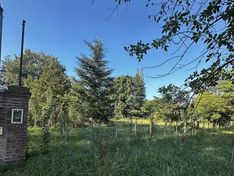 Terreno en Venta 37  mts Frente