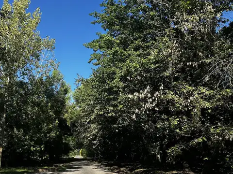 Terreno en Venta 74  mts Fondo