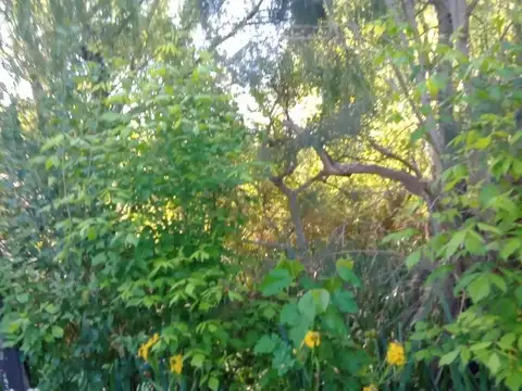 Terreno en venta - 2.140mts2 - Ensenada