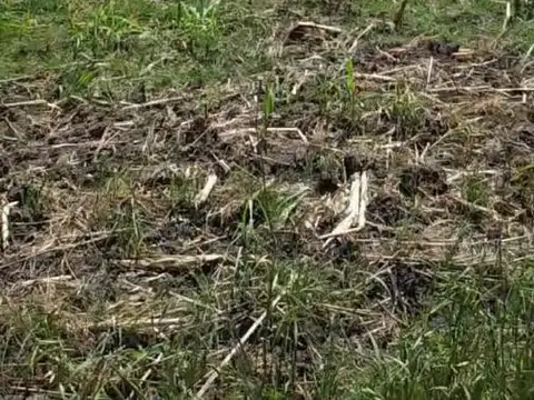 Terreno - Exaltacion De La Cruz