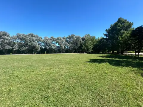 Colectora Au. Ezeiza-Cañuelas 100