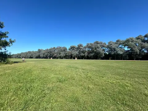 Terreno en Venta en Vicente Casares, USD 97.000