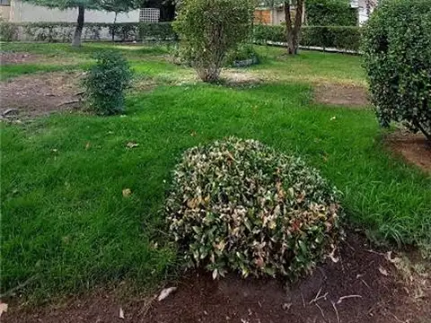 DEPARTAMENTO 3 DORMITORIOS - ZONA NORTE, SAN JUAN