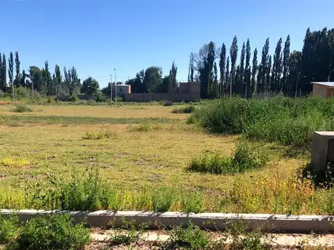 Terreno en Venta en Centenario, USD 23.500