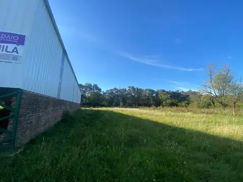 GalpÃ³n - Alquiler - Argentina, Lobos