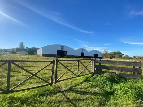 GalpÃ³n - Alquiler - Argentina, Lobos