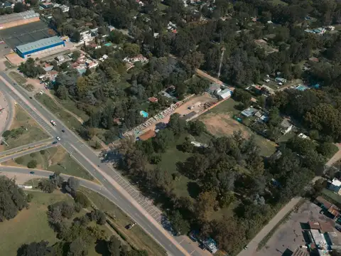 Peter  Tchaicovsky al 7000