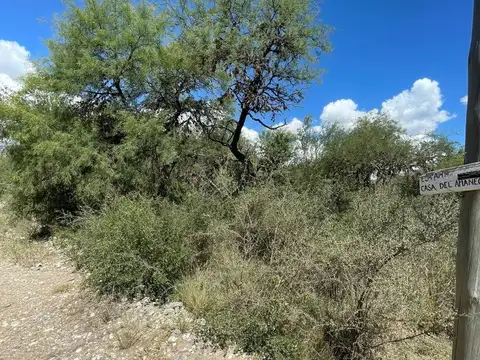 Terreno en Venta de 1519,0 m2