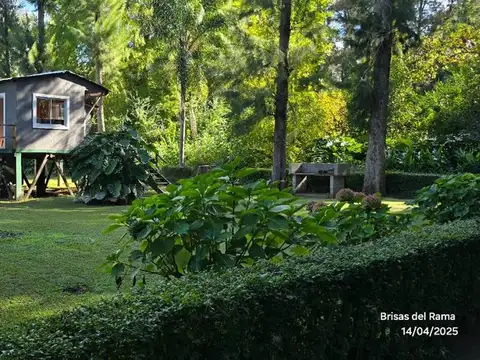 Arroyo Rama Negra Delta Tigre 800