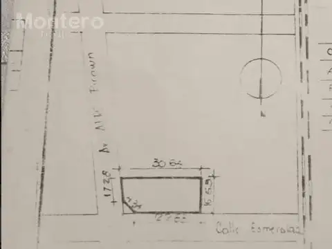 Alte Alte  Brown  al 3000